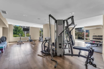 Aerial View of 1805 280 Ross Drive, New Westminster, BC