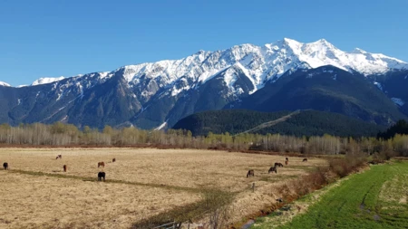 1380 Collins Road, Pemberton, BC, Pemberton — Single Family Residence for sale