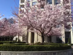 307 4333 Central Boulevard, Burnaby, BC