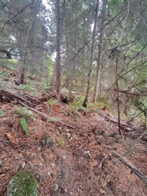 Family Room Photo of Lot 34 Deerhorn Drive, Sechelt, BC