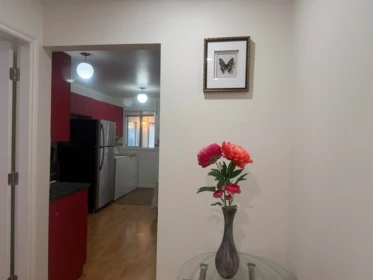 1440 E King Edward Avenue, Vancouver, BC, Vancouver — 6 bed single family residence for sale