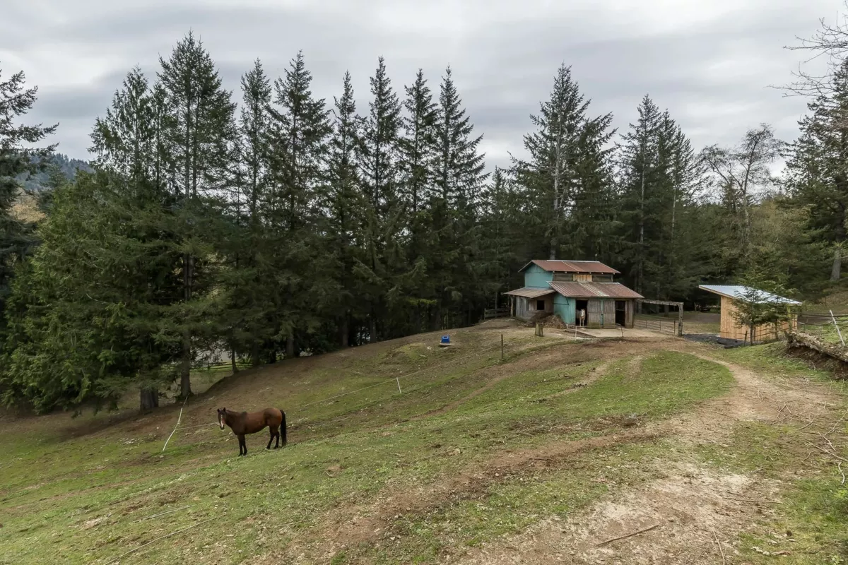 Backyard Photo of 48522 Elk View Road, Chilliwack, BC