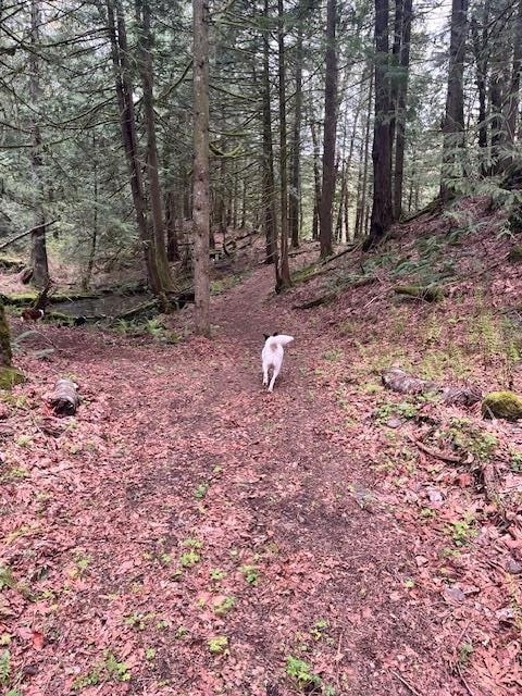 Hot Tub / Spa Photo of 48522 Elk View Road, Chilliwack, BC