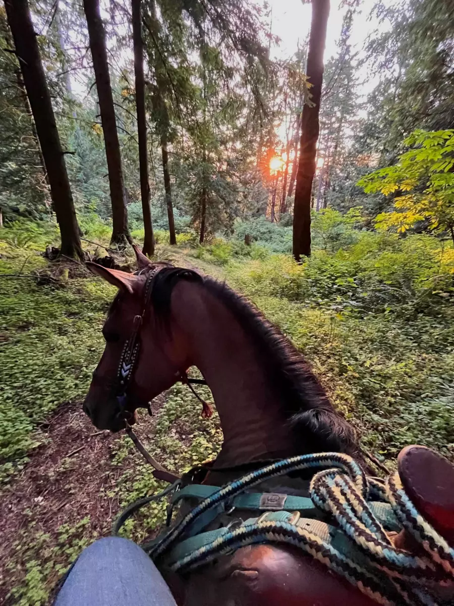 Outdoor Kitchen Photo of 48522 Elk View Road, Chilliwack, BC