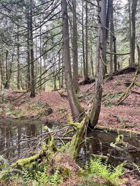 Swimming Pool Photo of 48522 Elk View Road, Chilliwack, BC