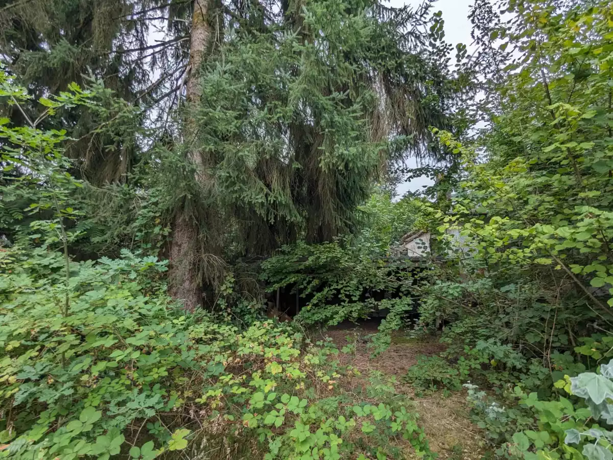 Exterior Rear Photo of 570 Prairie Avenue, Port Coquitlam, BC