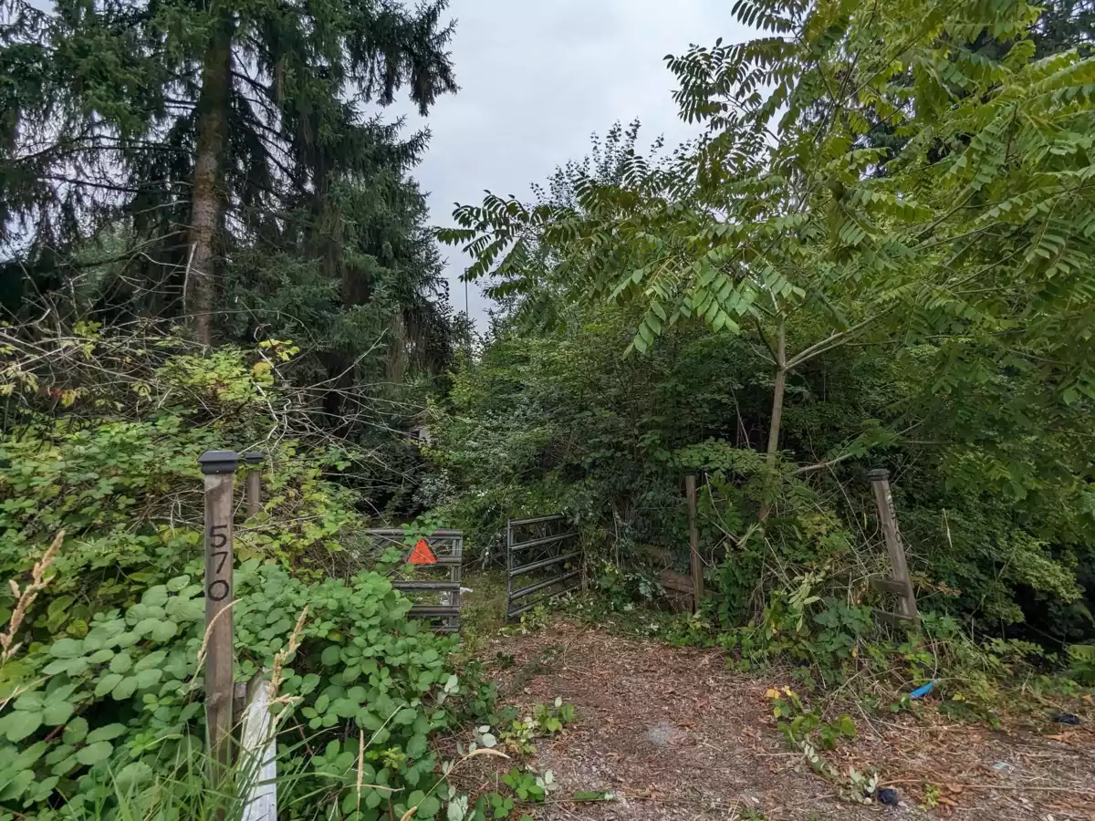 Living Room Photo of 570 Prairie Avenue, Port Coquitlam, BC