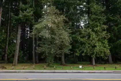 32750 Bevan Avenue, Abbotsford, BC, Abbotsford — Land for sale