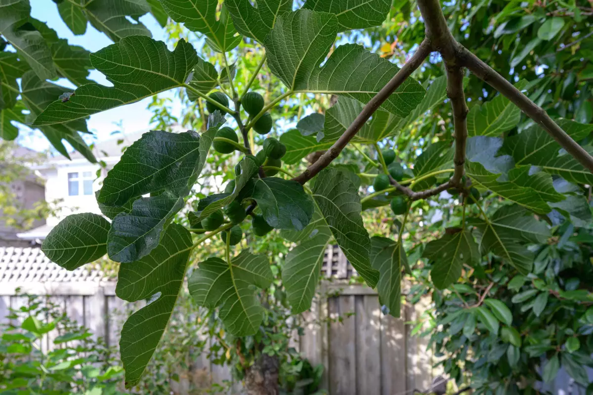 Fitness Center Photo Near 4430 50a Street, Delta, BC