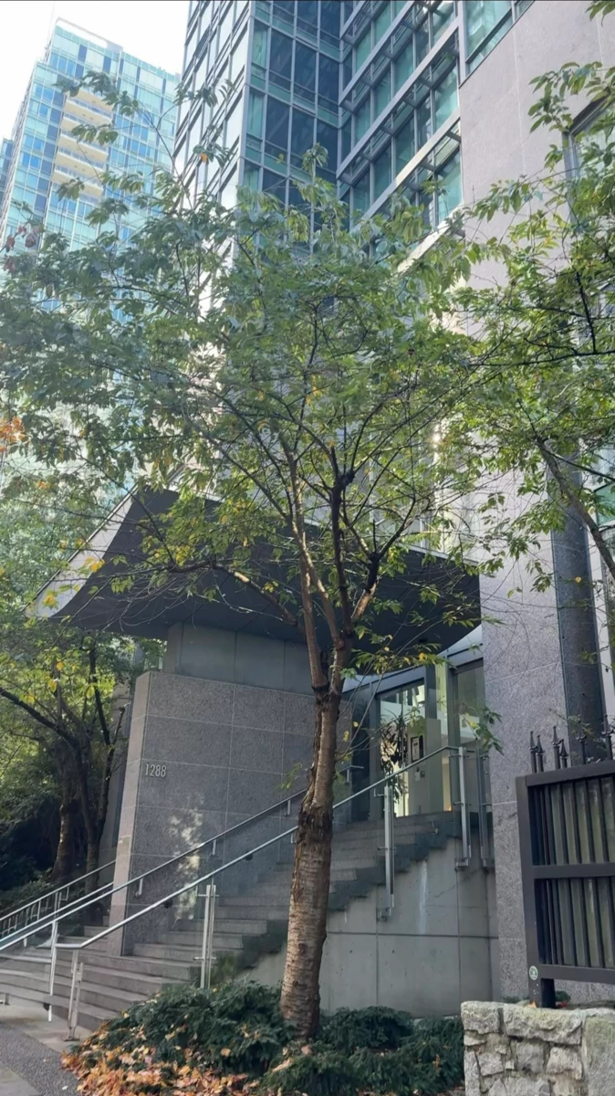 Exterior Rear Photo of 1501 1288 W Georgia Street, Vancouver, BC