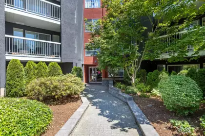 202 5700 200 Street, Langley, BC, Langley — Apartment/Condo for sale