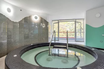 704 990 Beach Avenue, Vancouver, BC, Vancouver — Apartment/Condo for sale