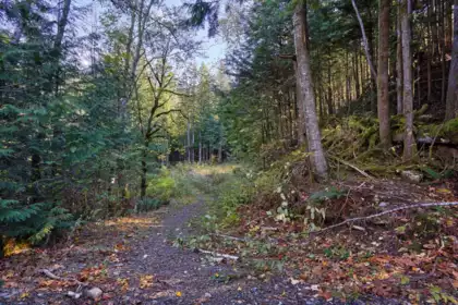 1017 Copper Drive, Britannia Beach, BC, Britannia Beach — Land for sale