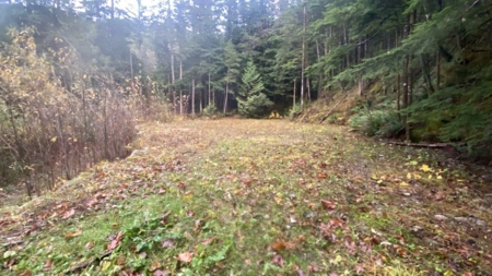 1017 Copper Drive, Britannia Beach, BC, Britannia Beach — Land for sale