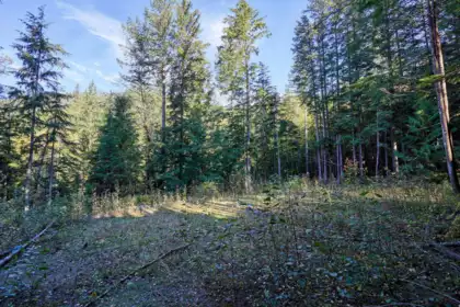 Office / Den Photo of 1017 Copper Drive, Britannia Beach, BC