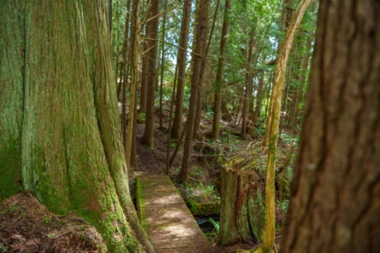 Street View Photo of 1531 Lockyer Road, Roberts Creek, BC
