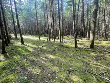 1840 Seymour Road, Gabriola Island, BC, Gabriola Island — Land for sale