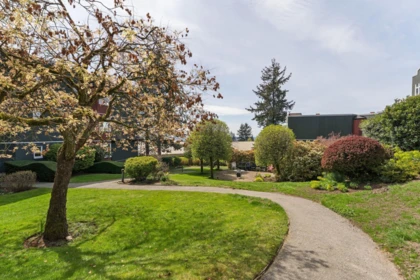 Neighborhood Park Photo Near 419 121 W 29th Street, North Vancouver, BC