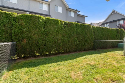 Aerial View of 79 8881 Walters Street, Chilliwack, BC