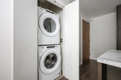 Laundry Room Photo of 306 308 Morrissey Road, Port Moody, BC