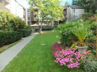 Loft / Bonus Room Photo of 409 340 Ginger Drive, New Westminster, BC