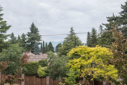 Entry Foyer Photo of 20 15128 24 Avenue, Surrey, BC