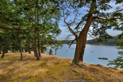 Fitness Center Photo Near 774&776 Steward Drive, Mayne Island, BC
