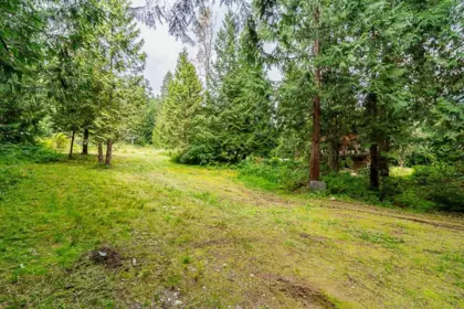 Backyard Photo of 12241 Stave Lake Road, Mission, BC
