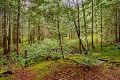 Garden / Landscaping Photo of 12241 Stave Lake Road, Mission, BC