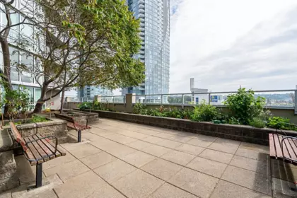 Backyard Photo of 1407 14 Begbie Street, New Westminster, BC