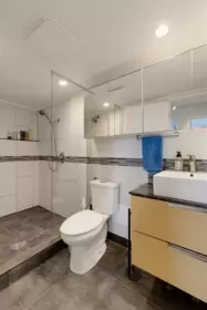 Basement Recreation Room Photo of 302 391 E 7th Avenue, Vancouver, BC