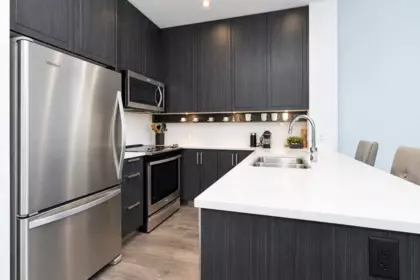 204 2393 Ranger Lane, Port Coquitlam, BC, Port coquitlam — Apartment/Condo for sale
