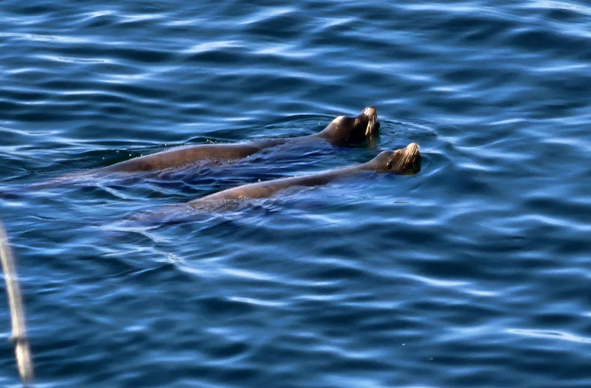 Breakfast Nook Photo of 315 Deacon Lane, Galiano Island, BC
