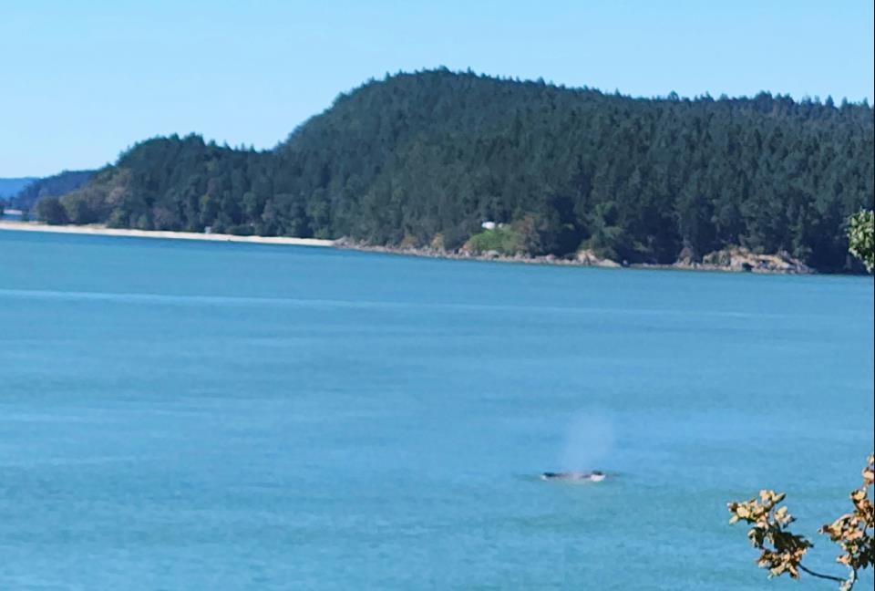 Hot Tub / Spa Photo of 315 Deacon Lane, Galiano Island, BC