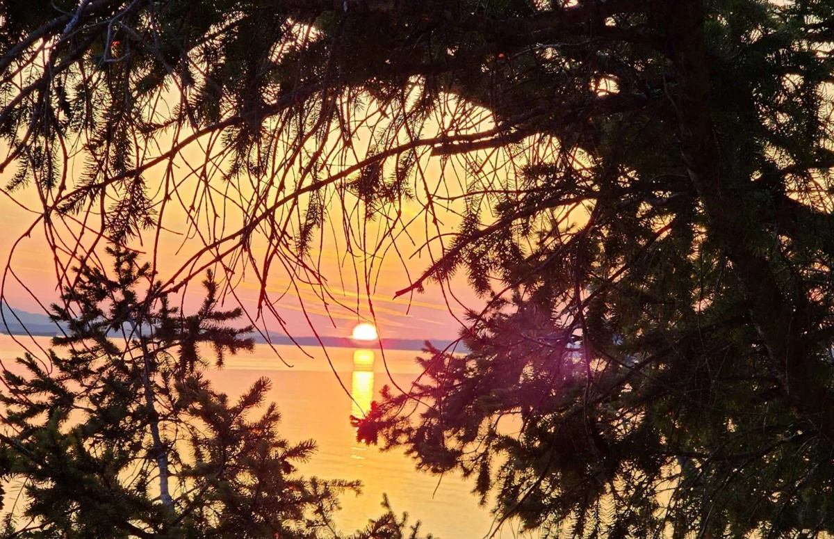 Kitchen Photo of 315 Deacon Lane, Galiano Island, BC