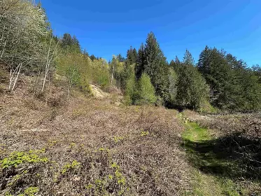 Street View Photo of DL 4055 E Dark Cove Jervis Road, Madeira Park, BC