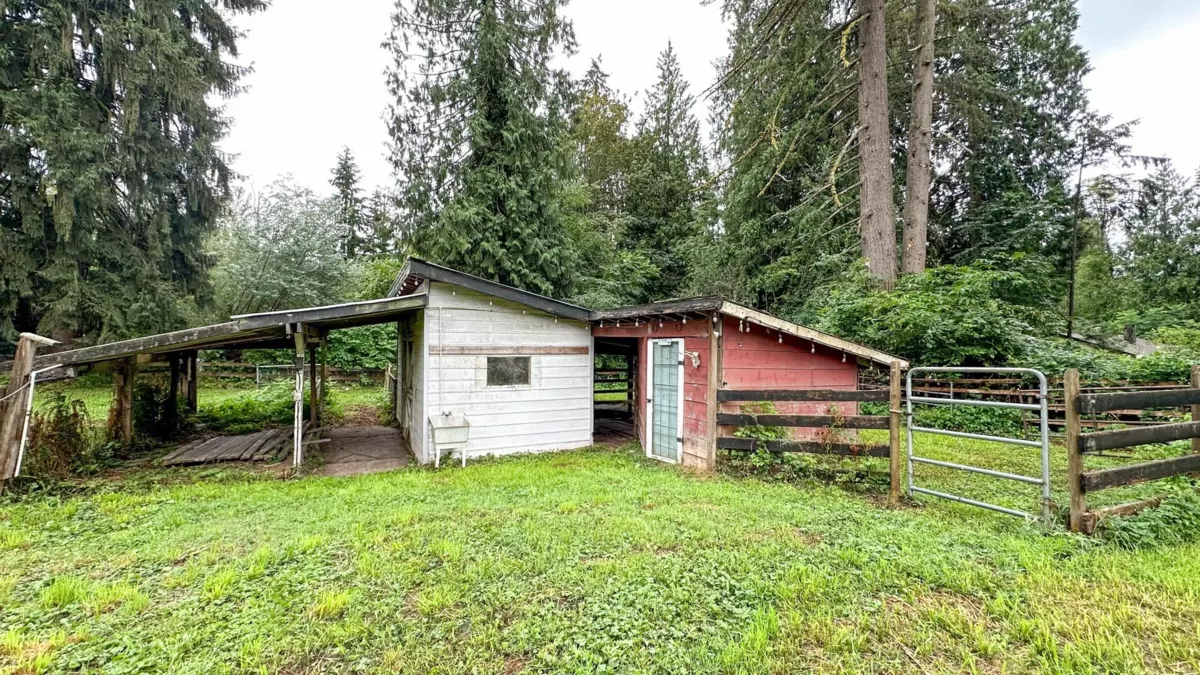 Backyard Photo of 11185 272 Street, Maple Ridge, BC