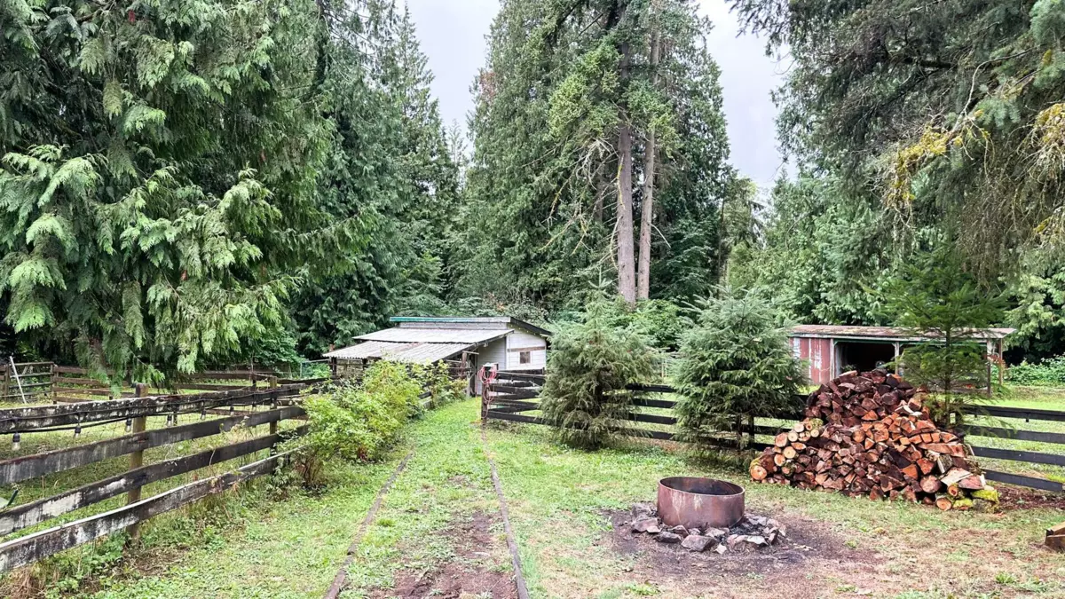 Pantry Photo of 11185 272 Street, Maple Ridge, BC