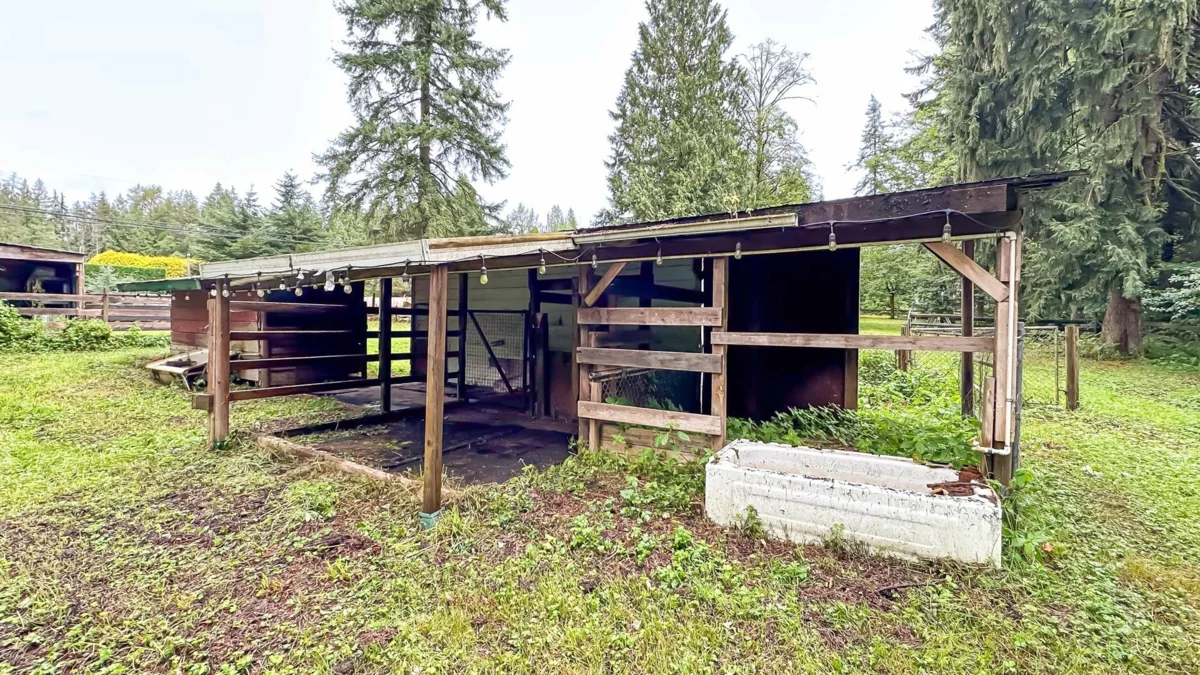 Swimming Pool Photo of 11185 272 Street, Maple Ridge, BC