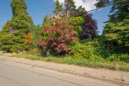 1590 Bishop Road, White Rock, BC, White Rock — Single Family Residence for sale