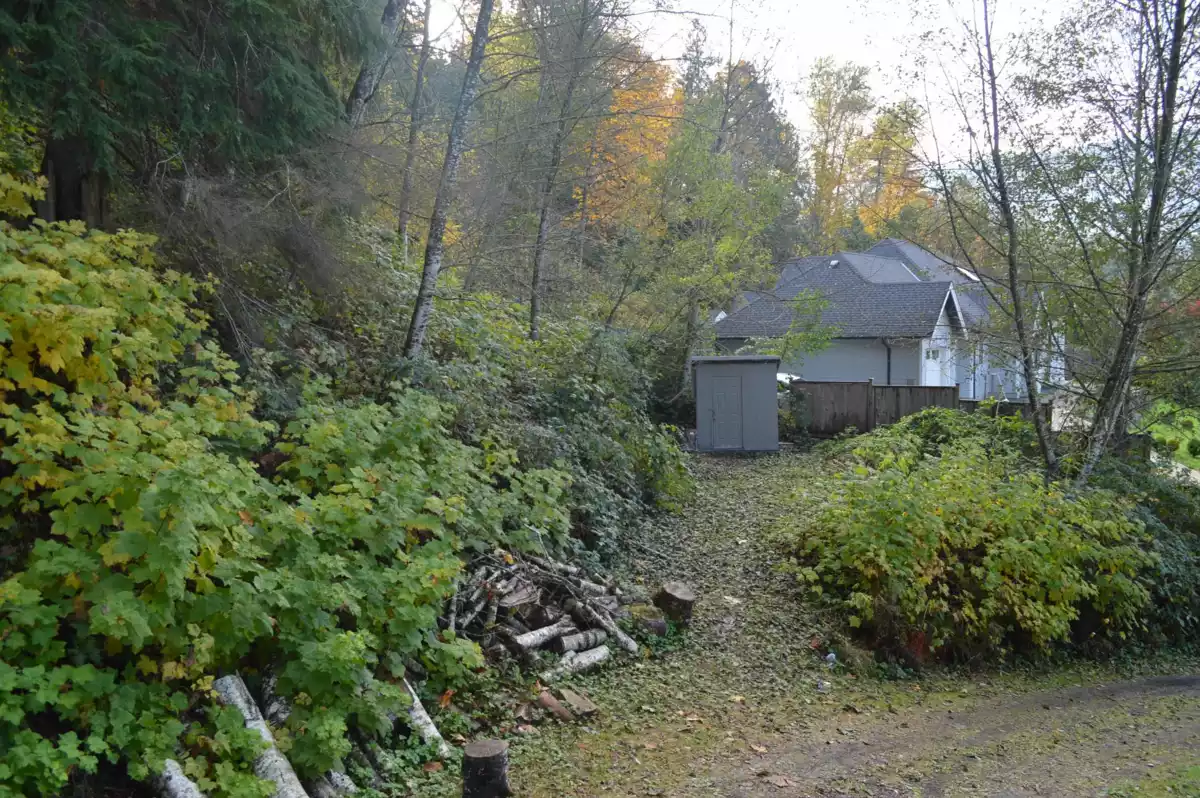 Garage Interior Photo of 45992 Gurney Road, Cultus Lake, BC