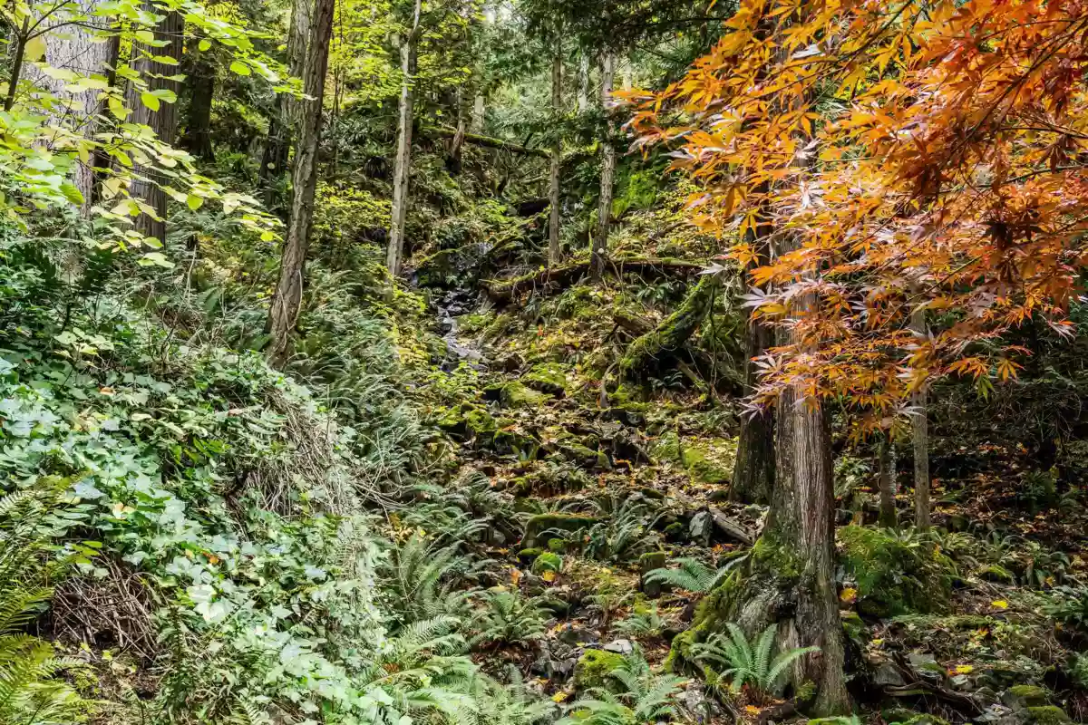 Aerial View of 6326 Rockwell Drive, Harrison Hot Springs, BC