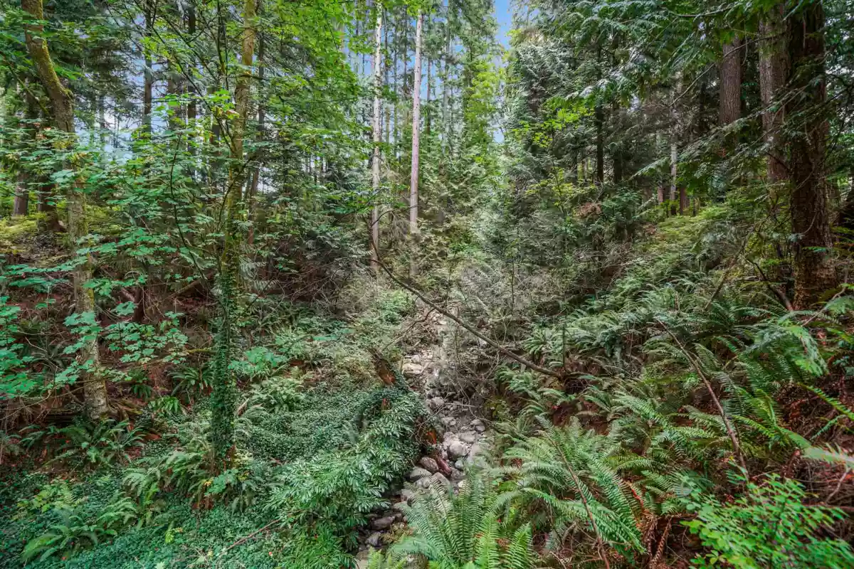 Loft / Bonus Room Photo of 135 101 Parkside Drive, Port Moody, BC