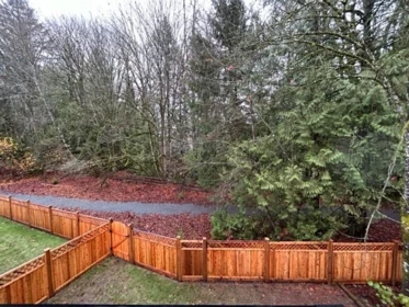 Staircase Photo of 13608 232b Street, Maple Ridge, BC