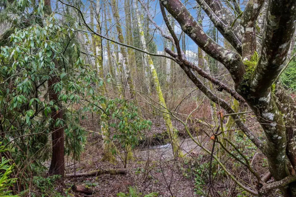 Hot Tub / Spa Photo of 8099 148a Street, Surrey, BC