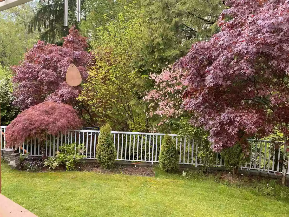 Swimming Pool Photo of 8099 148a Street, Surrey, BC