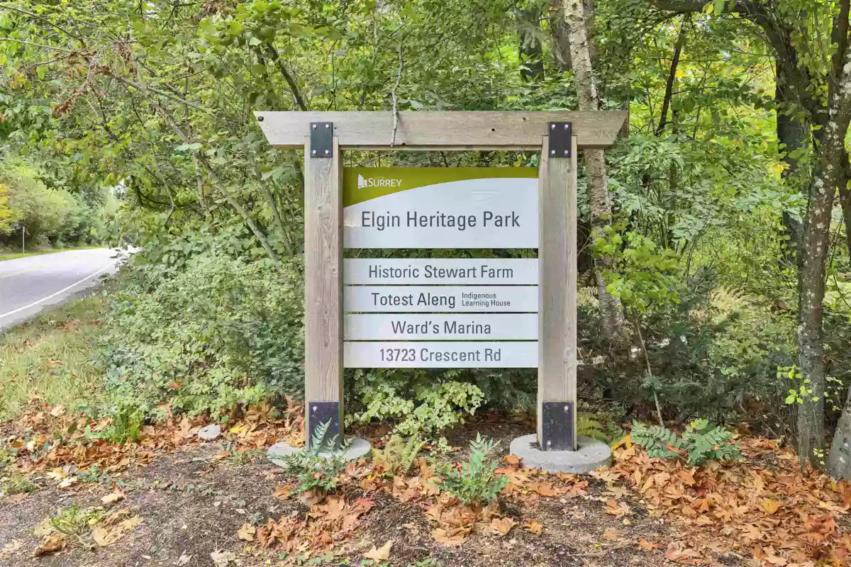 Aerial View of 15824 Tulip Drive, Surrey, BC