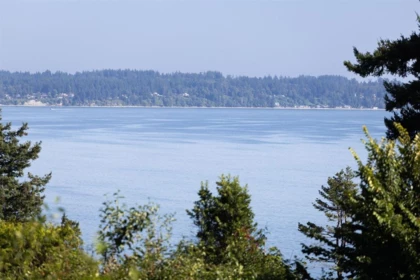 Backyard Photo of 13752 Marine Drive, White Rock, BC