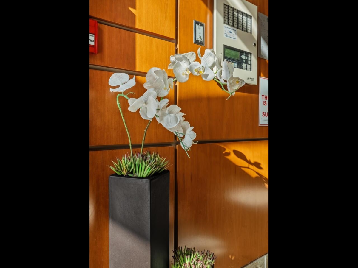 Family Room Photo of 206 3105 Lincoln Avenue, Coquitlam, BC