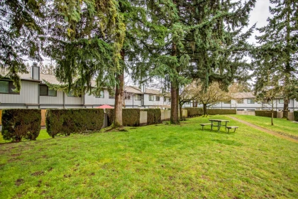 Neighborhood Park Photo Near 35 6712 Baker Road, Delta, BC